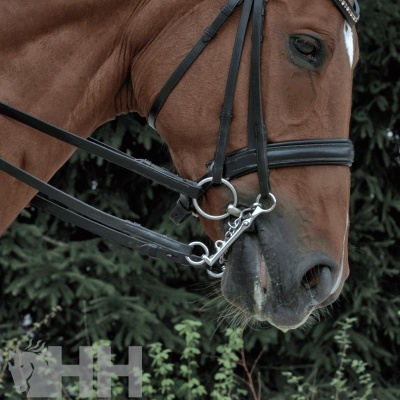 Cabeça de cavalo castanho com bridão preto em couro e argolas metálicas