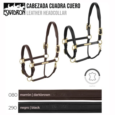 Duas cabeçadas de couro para cavalo em castanho escuro e preto com fivelas douradas