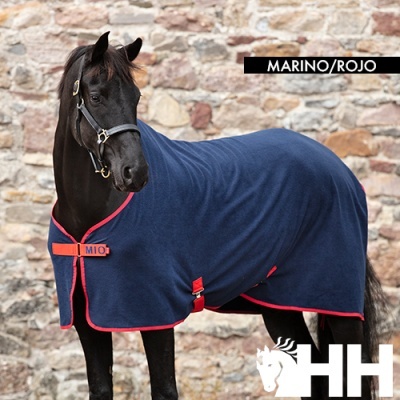Cavalo com manta azul marinho com detalhes vermelhos