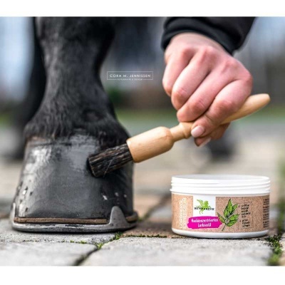 Escova a ser usada para aplicar produto num casco de cavalo com frasco de pomada ao lado