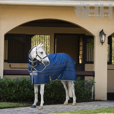 Cavalo branco com manta azul marinho e cinza em estábulo