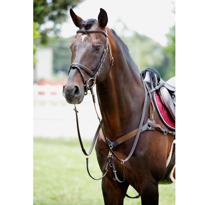 Cavalo castanho com arreios e sela em ambiente exterior