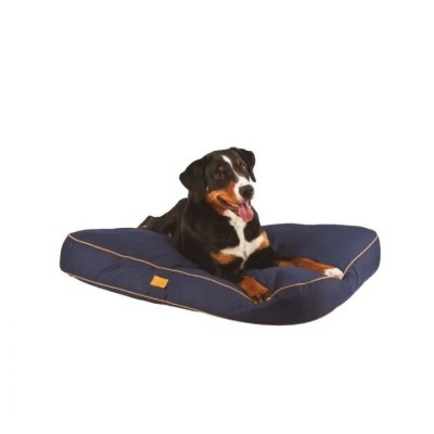 Cama para cães azul com cão deitado