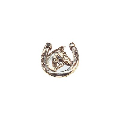 Broche dourado com ferradura e cabeça de cavalo
