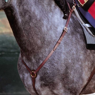 Coleira de couro castanho num cavalo cinzento com sela preta e vermelha