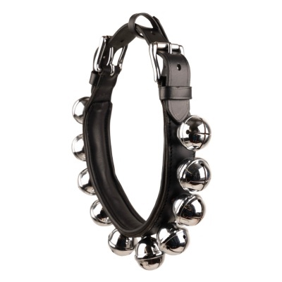 Coleira preta com guizos metálicos prateados