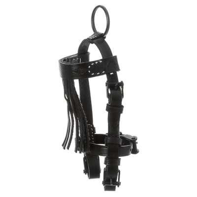 Arnês preto de couro com fivelas e anel metálico