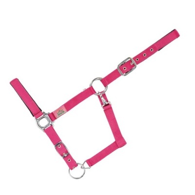 Cabresto cor-de-rosa em nylon para cavalo com detalhes metálicos