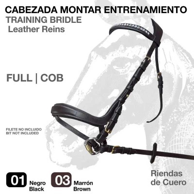 Cabeçada para montar treino com rédeas de couro preto e castanho, fivelas metálicas, sobre fundo branco e imagem desbotada de cavalo