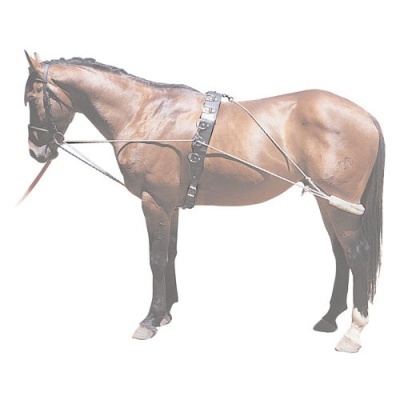 Cavalo castanho com arreios pretos e fivelas de metal