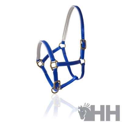 Cabresto azul para cavalo com fivelas douradas