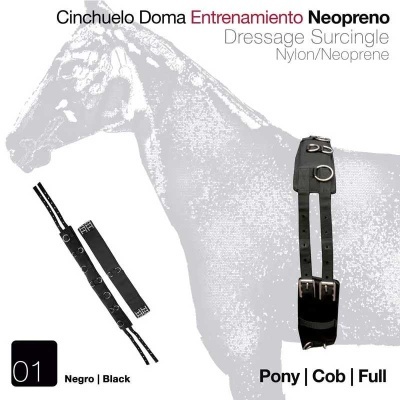 Cinchuelo de doma de neopreno preto com fivelas metálicas para treino e uso em cavalos