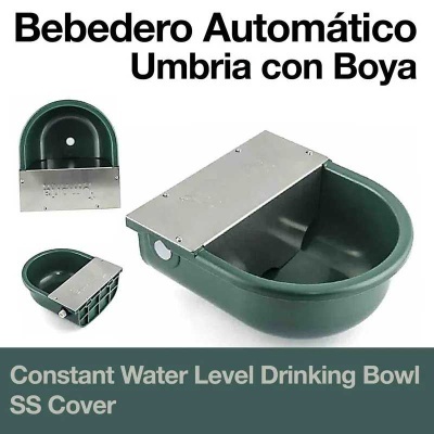 Bebedouro automático verde com tampa inox e texto promocional em fundo branco e verde