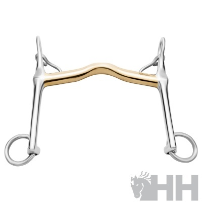 Freio de cavalo em metal dourado e prateado