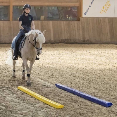 Pessoa jovem a montar cavalo branco em pista coberta com obstáculos coloridos no chão