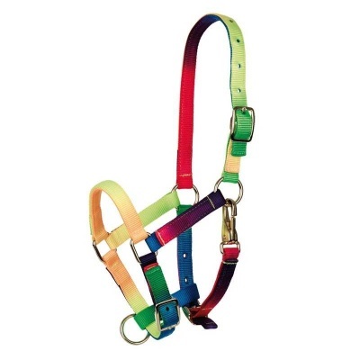 Cabresto colorido arco-íris para animais feita de fita sintética