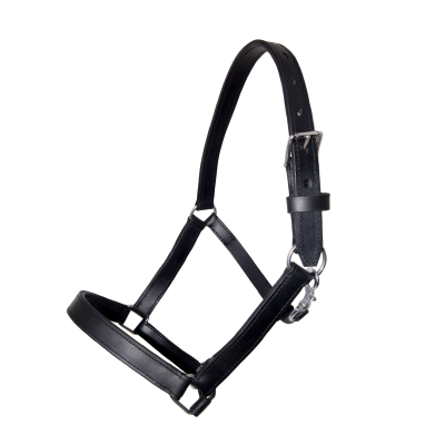 Cabresto de pele preta com fivela metálica prateada