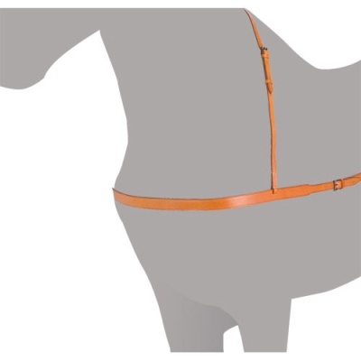 Cinto de cavalo em couro castanho com fivela metálica ajustável num manequim cinzento