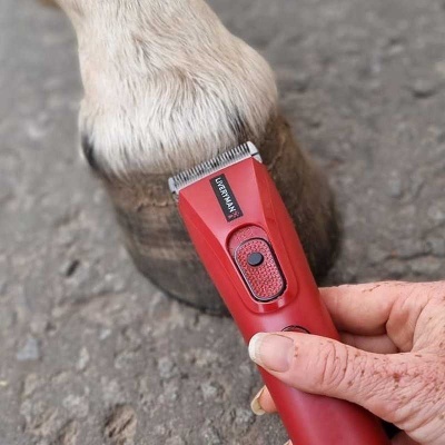 Máquina de tosquiar vermelha a aparar pelo de cavalo