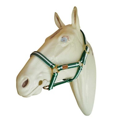 Cabeça decorativa de cavalo branco com peitoral verde