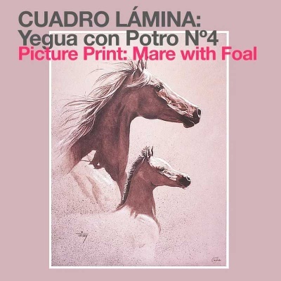 Ilustração rosa de égua com potro com texto explicativo em duas línguas