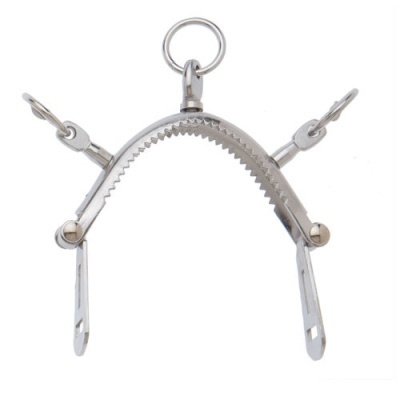 Espora metálica prateada com dentes serrilhados e presilhas articuladas