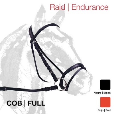 Cabresto de cavalo preto em couro com fivelas sobre fundo branco com texto