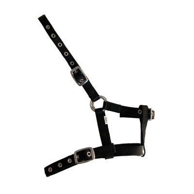 Arnês preto de nylon com fivelas metálicas.