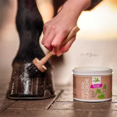 Pessoa aplicando creme para cascos em cavalo com escova, pote de creme Natural Hu Sa Creme ao lado