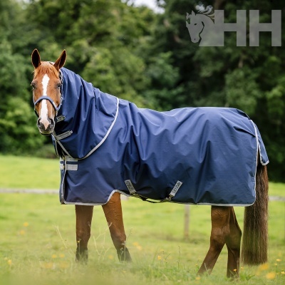Cavalo castanho a usar manta de tecido azul escuro e peitoral azul em campo verde