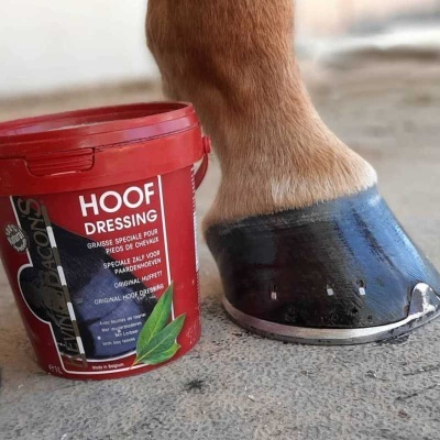 Balde vermelho de pomada para cascos ao lado do casco de cavalo castanho claro