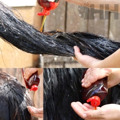 Aplicação de óleo castanho na crina preta de um cavalo com as mãos