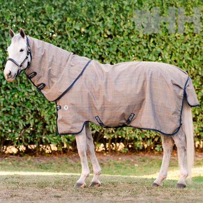 Cavalo branco com manta bege riscada de giz e cintas pretas AMIGO HORSEWARE IRELAND