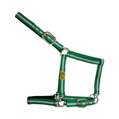 Cabresto verde com riscas brancas para cavalo com fivela metálica