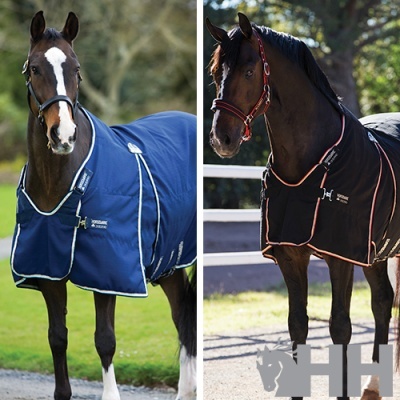 Cavalos com mantas térmicas azul e preta em ambiente externo