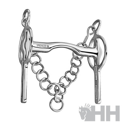 Freio metálico prateado para cavalo com corrente e gravação SPRINGER 14