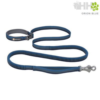 Trela para cão azul com área acolchoada e fecho metálico