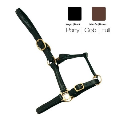 Cabresto para cavalo em pele preta com fivelas douradas