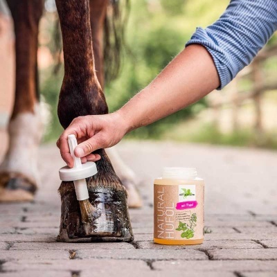 Aplicação de produto NATURAL HUFOL na pata de um cavalo com pincel