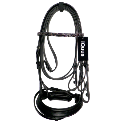 Bridão de cavalo preto com ponteira brilhante e etiqueta iQuus