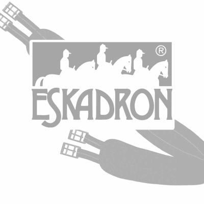 Logo ESKADRON em cinza com cavaleiros e peça têxtil com fivelas