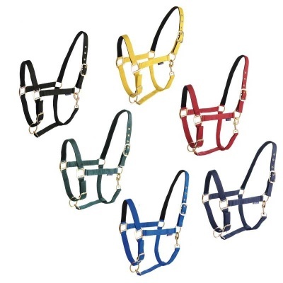 Cabrestos coloridos para animais em nylon com fivelas douradas