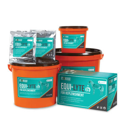 Produtos EQUI-LYTE FORAN para reposição de eletrólitos em embalagens laranja, saquetas prateadas e caixa verde