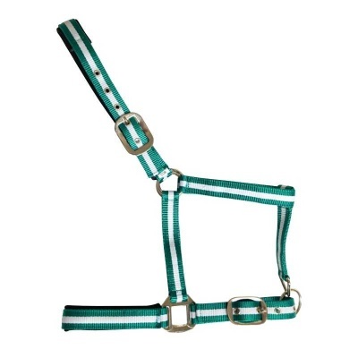 Cabresto para cavalo verde e branco com fivelas metálicas