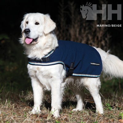 Cão branco vestindo casaco azul marinho em relva