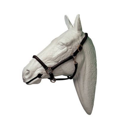 Cabeça de cavalo branca com cabresto preto e fivela