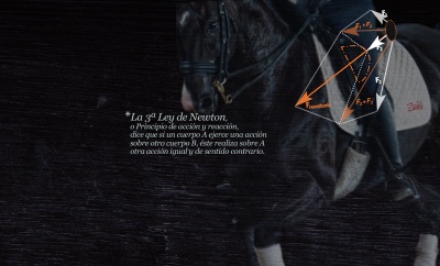 Cavalo preto com equipamentos de equitação e gráfico de forças com texto explicativo em espanhol sobre a 3ª Lei de Newton