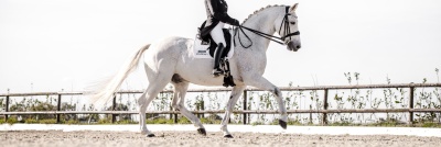 Cavalo branco com sela preta e cavaleiro vestido de preto em picadeiro ao ar livre