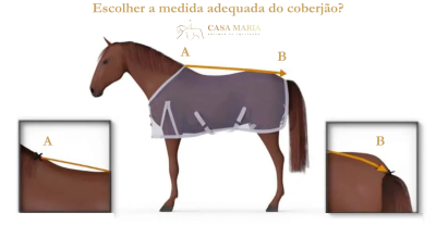 Diagrama para escolha da medida de coberta para cavalo com indicações A e B em fundo branco