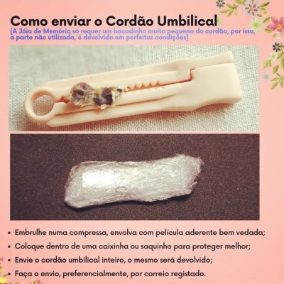 Instruções para envio de cordão umbilical com imagens de pinça com cordão e cordão embrulhado em película.